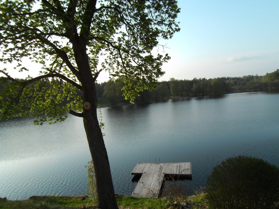 Holzsteg an einem ruhigen See in Schweden