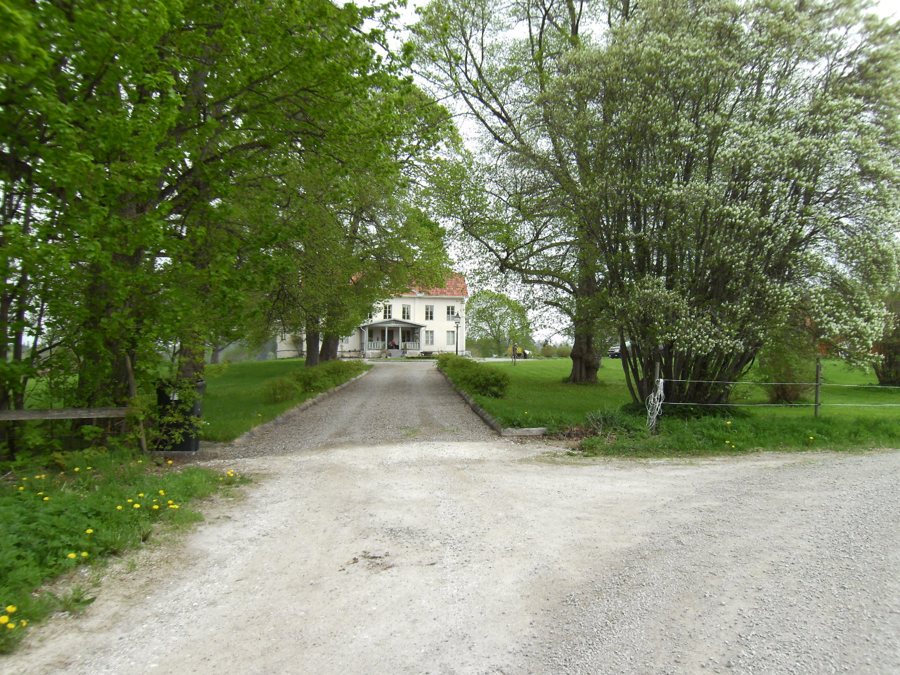 Weißes Ferienhaus mit rotem Dach inmitten grüner Bäume