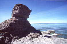 Felsen auf Öland in Schweden