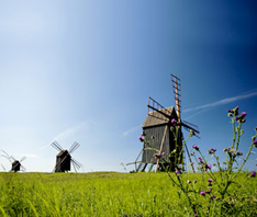 Erntefest auf Schweden-Insel Öland