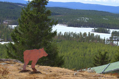 Ausflugsziel Orsa Grönklitt Bärenpark Schweden