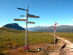 Wildniswandern Kungsleden Schweden