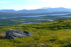 Wildniswandern Padjelantaleden Schweden