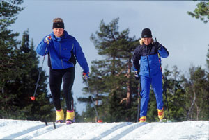 Der Winter-Urlaub in Nord-Schweden hält für jeden Schweden-Urlauber das passende Programm parat: vom Winterspaß für die ganze Familie, über Schnee-Wandern und Ski-Langlauf bis zu Hundeschlitten- und Schnee-Scooter-Touren