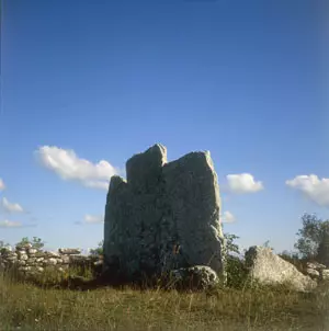 Kalksteinfelsen auf Öland