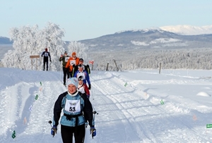 Skilanglauf bei Särna